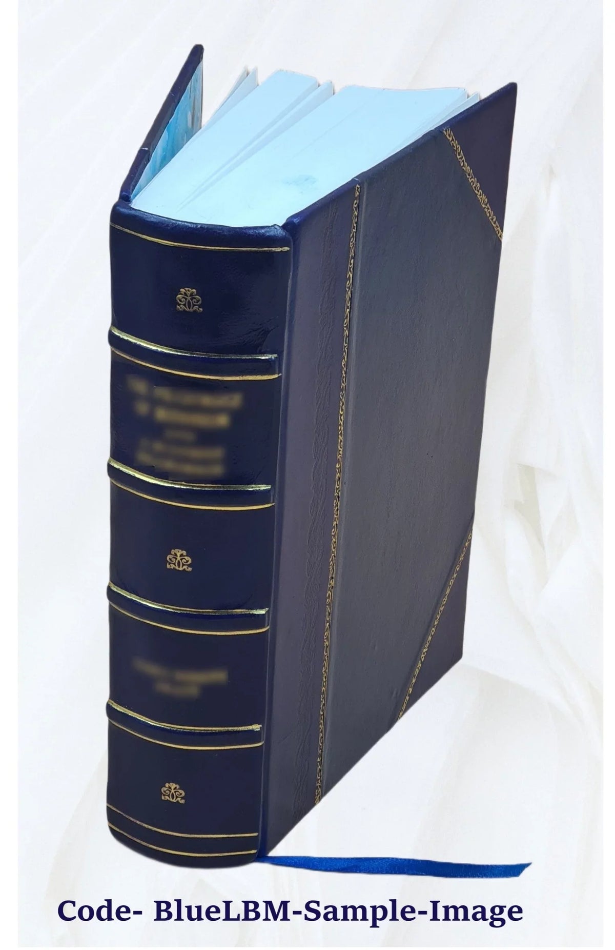 Memorie storiche delle arti e degli artisti della Marca di Ancona 1834 [Leather Bound]