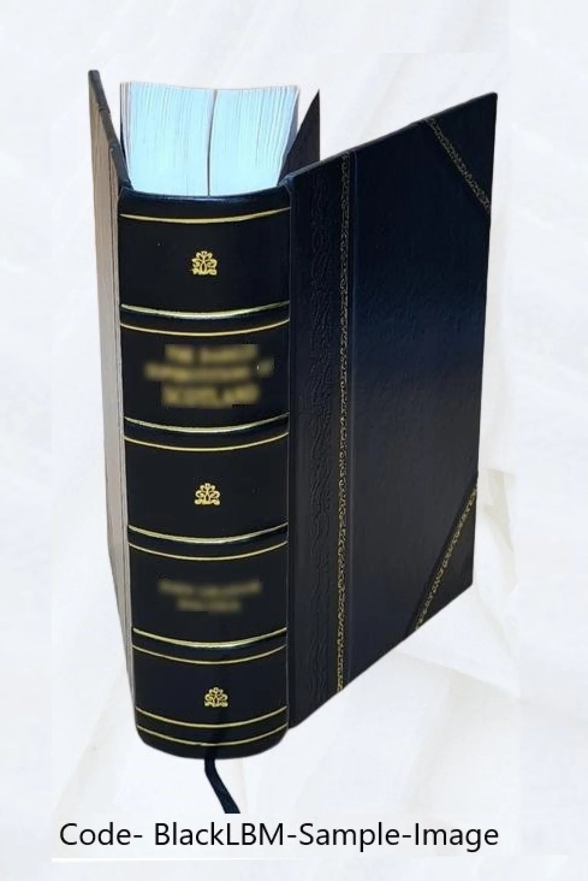 1900 [Leather. [Index (Soundex) to the population schedules of the twelfth census of the United States, 1900, Missouri] Volume MISSOURI - TI055 - H-400 Georgia A.**-H-400 Squire J