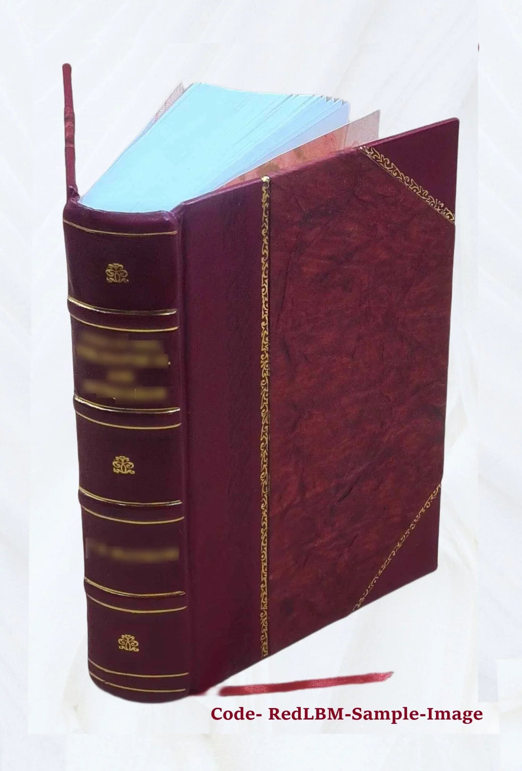History of Newton, Massachusetts : town and city, from its earliest settlement to the present time, 1630-1880 1880 [Leather Bound]