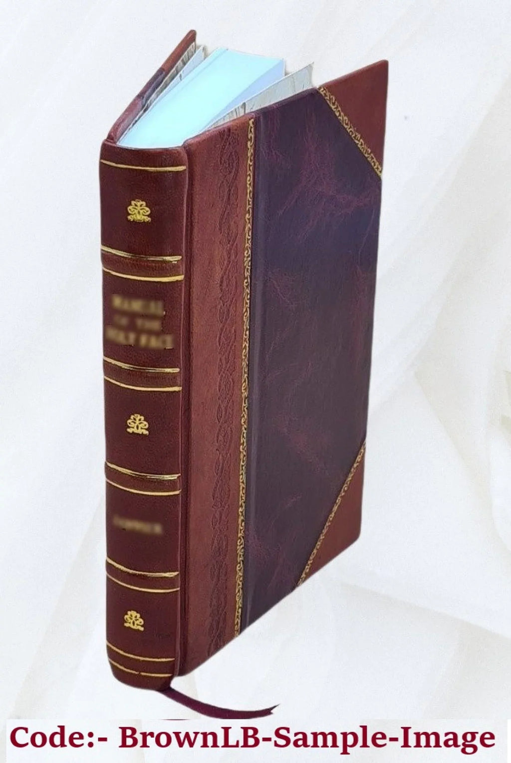The Nautilus Volume 1977 1927 [Leather Bound]